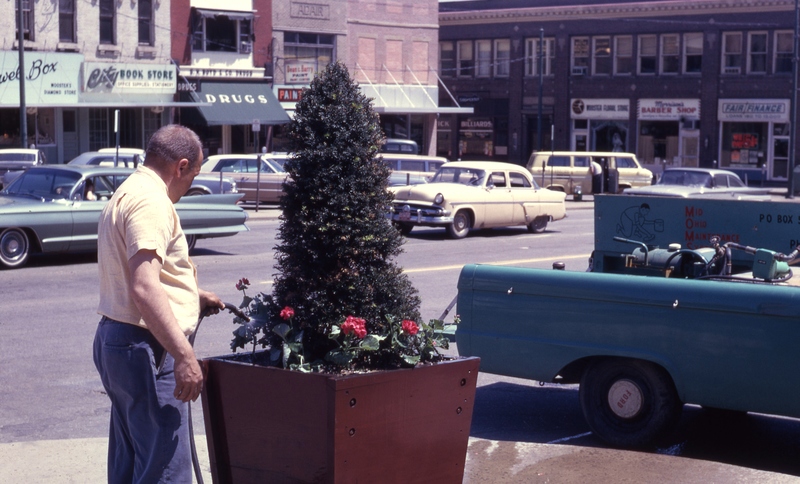 A man in the 1950s waters a pot of flowers with businesses and cars in the background. 