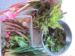 A basket of various vegetables, fruits, and eggs. 