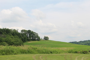 A view of a field