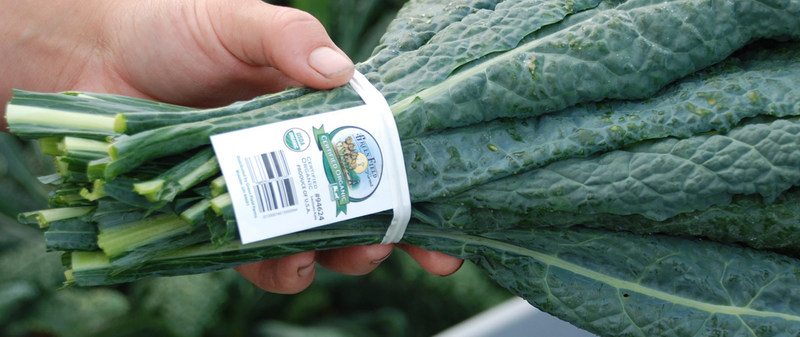 A bunch of collard greens with the Green Field Farms label. 